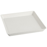 Assiette pulpe blanche carrée 16 x 16 cm